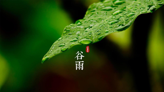 谷雨|喝一杯纯净好水，沐一场人间春色